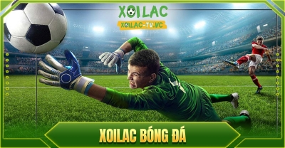 Xoilac TV - xoilac.ink: Sự lựa chọn hoàn hảo dành cho mọi người