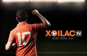 Khám phá mọi góc độ của bóng đá qua nền tảng xoilac-tv.click